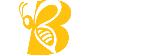 Bfit